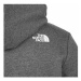 The North Face Standard Hoodie Grey