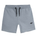 Chlapčenské teplákové kraťasy 4F JUNIOR SHORTS CAS M048-34S-LIGHT BLUE