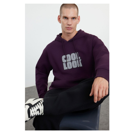 Trendyol Purple Oversize/Wide Cut Hooded Fleece/Warm Embroidered Sweatshirt