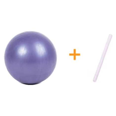 Sportago Pilates Lopta 25 cm - fialová