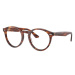 Ray-Ban Larry RX7680V 2144 - M (49)