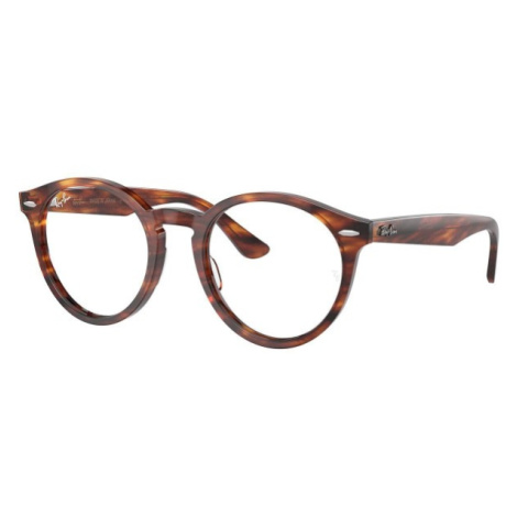 Ray-Ban Larry RX7680V 2144 - M (49)