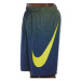 Pánske plavky NIKE SWIM Grid Swoosh Breaker 9 inch-730-opti yellow