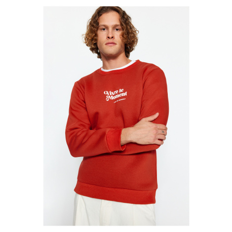 Trendyol Tile Men Pánska pravidelná / pravidelný strih Crew Neck Dlhý rukáv nadýchaný textový po