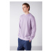 GRIMELANGE Travis Men's Organic Fabric Soft Regular Fit Round Neck Lilac Sweatshir