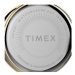 Timex Hodinky City TW2V24400 Zlatá