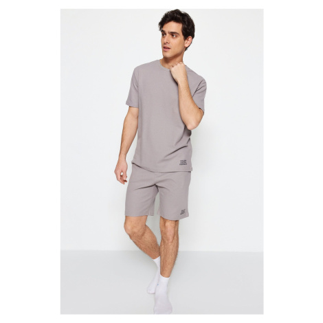 Trendyol Gray Regular Fit Knitted Pajamas Set