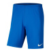 Pánske tréningové kraťasy NIKE Nike Dri-FIT Park 3 Men s Knit BV6855-002