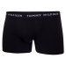 Tommy Hilfiger Spodky UM0UM02203 Biela/čierna/sivá