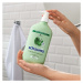 Schwarzkopf Schauma 7 Herbs bylinný šampón pre normálne až mastné vlasy