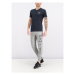 EA7 Emporio Armani Teplákové nohavice 8NPPC3 PJ05Z 3900 Sivá Slim Fit