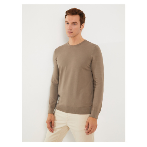 LC Waikiki Crew Neck Long Sleeve Men's Knitwear Sweater