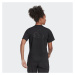 ADIDAS SPORTSWEAR Funkčné tričko 'Run Icons '  sivá / čierna