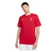 Tričko Nike Liverpool FC Club Essential M FV9243-687