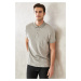 ALTINYILDIZ CLASSICS Pánske sivé tričko s krátkym rukávom zo 100% bavlny proti rolovaniu, slim f