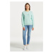 MIKINA GANT REG TONAL SHIELD C-NECK SWEAT MINTY GREEN