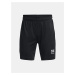 Šortky Under Armour Y Challenger Core Short