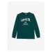 LC Waikiki Crew Neck Printed Long Sleeve Boys' T-Shirt