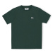 Sanjo  T-Shirt Patch Classic - Bottle  Tričká a polokošele Zelená