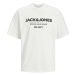 Jack&Jones Pánske tričko JJGALE Relaxed Fit 12247782 - Cloud Dancer M