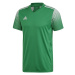 Pánske tričko Regista 20 Jersey M FI4559 - Adidas Zelená