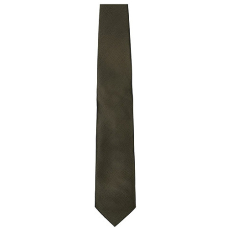 Tyto Saténová kravata TT901 Brown