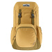 Deuter Walker 20 (3812821) jade-ivy