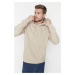 Trendyol Beige Basic Regular/Normal Cut Hooded Fleece Inside Sweatshirt