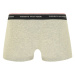 Tommy Hilfiger Underwear Boxerky  béžová melírovaná / tmavozelená / čierna / biela