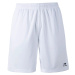 Pánské šortky FZ Forza Landos M Shorts White