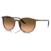 Ray-Ban RB2204 13953B - (54-20-145)