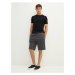 LC Waikiki Slim Fit Knitted Men's Shorts