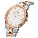 Dámske hodinky DANIEL WELLINGTON DW00100358 - ICONIC LINK LUMINE 32mm (zw510a)