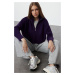 Trendyol Purple Super Crop Zippered Knitwear Sweater