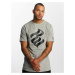 Men's T-shirt Rocawear gray melange