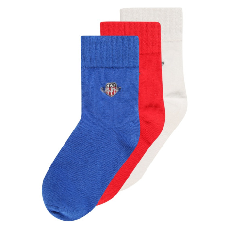 GANT Ponožky  modrá / sivá / červená / biela