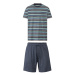 LIVERGY® Pánske krátke pyžamo (pruhy/navy modrá)