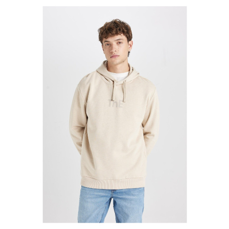 DEFACTO Regular Fit Hooded Printed Sweatshirt