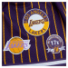 Mitchell & Ness NBA LA Lakers Hometown Mesh Shorts - Pánske - Kraťasy Mitchell & Ness - Fialové 