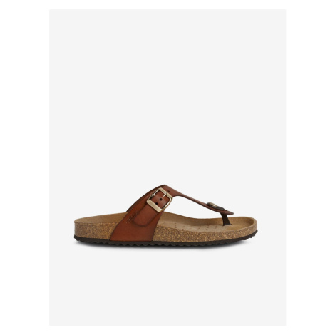 Brown Women's Leather Slippers Geox Brionia - Women