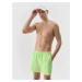 Men's 4F Swim Shorts - Green