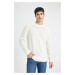 DEFACTO Ecru Standard Fit Regular Cut Crew Neck Knitwear Sweater