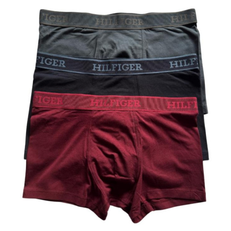 Pánske boxerky Tommy Hilfiger UM0UM03413