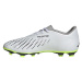 Topánky adidas Predator Accuracy.4 FxG M GZ0013