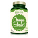 GreenFood Nutrition Chaga Extract kapsuly zo vzácnej huby