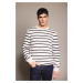 DEFACTO Standard Fit Striped Crew Neck Sweater