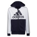 Chlapčenská mikina Adidas Essentials Colorblock Young