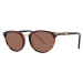 Serengeti Sunglasses 8844 Elyna 54