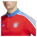 FC Bayern pánska tréningová mikina HU1280 - Adidas