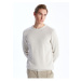 LC Waikiki Crew Neck Long Sleeve Men's Knitwear Sweater